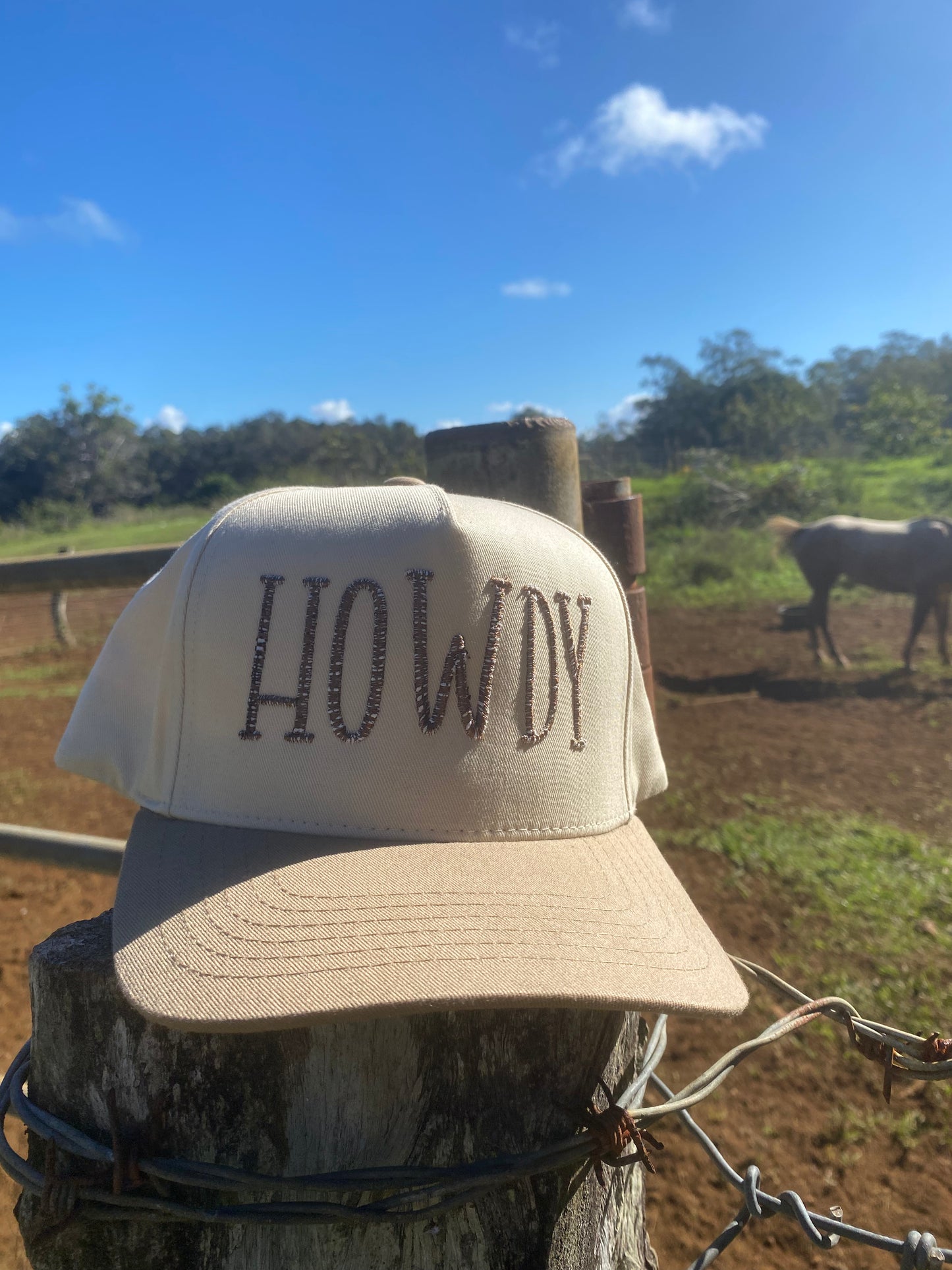 Howdy- Cap