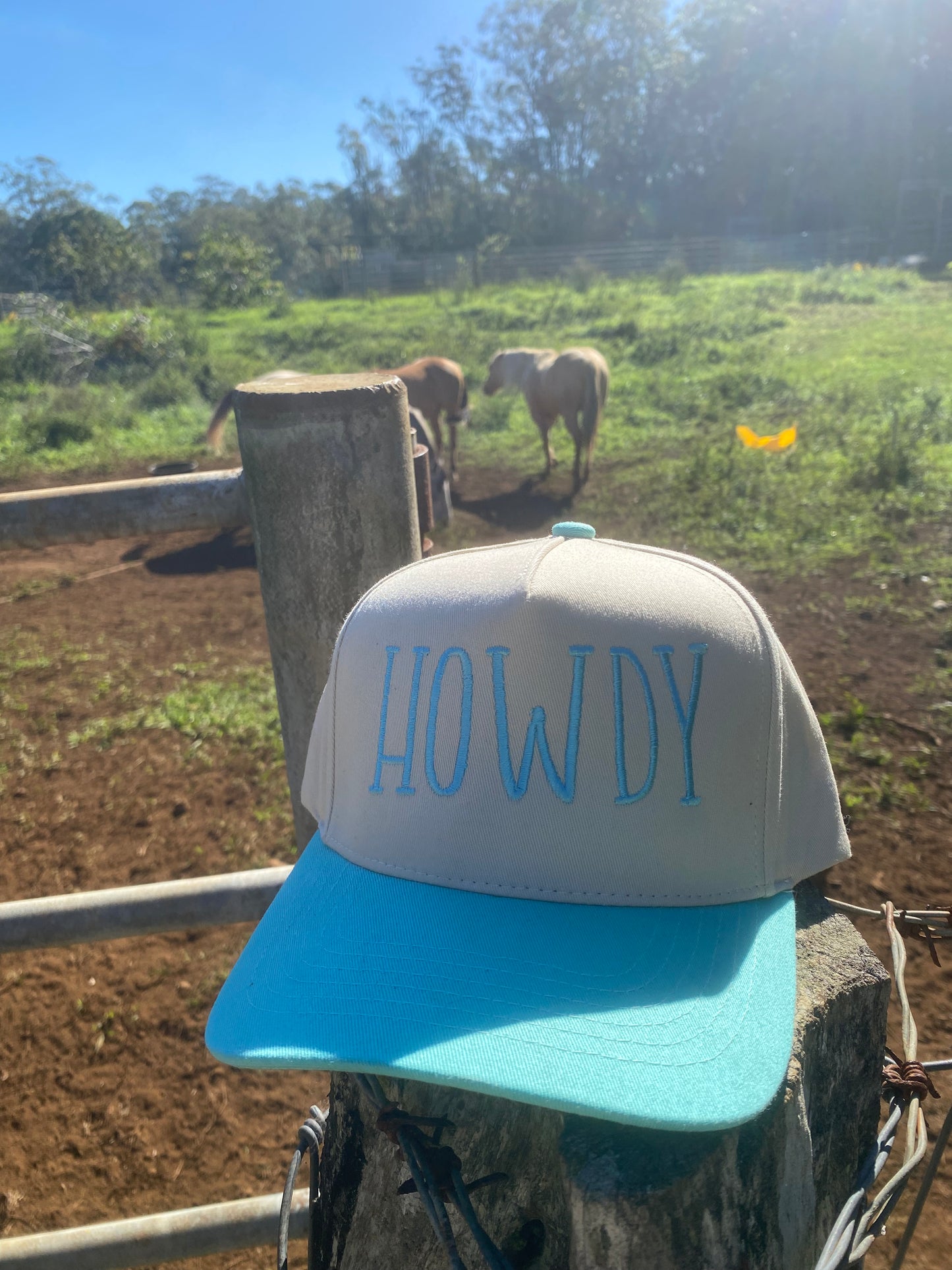 Howdy- Cap